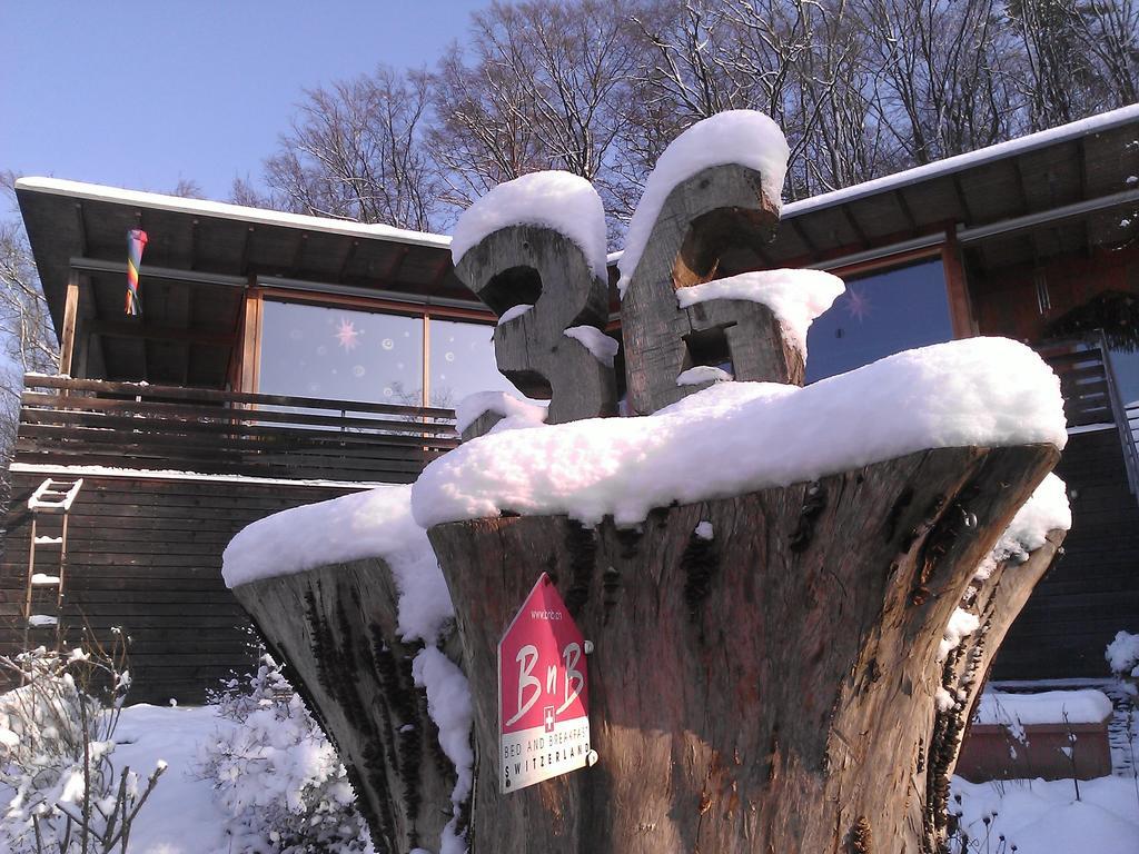 B&B Sunnesite Pratteln Zewnętrze zdjęcie