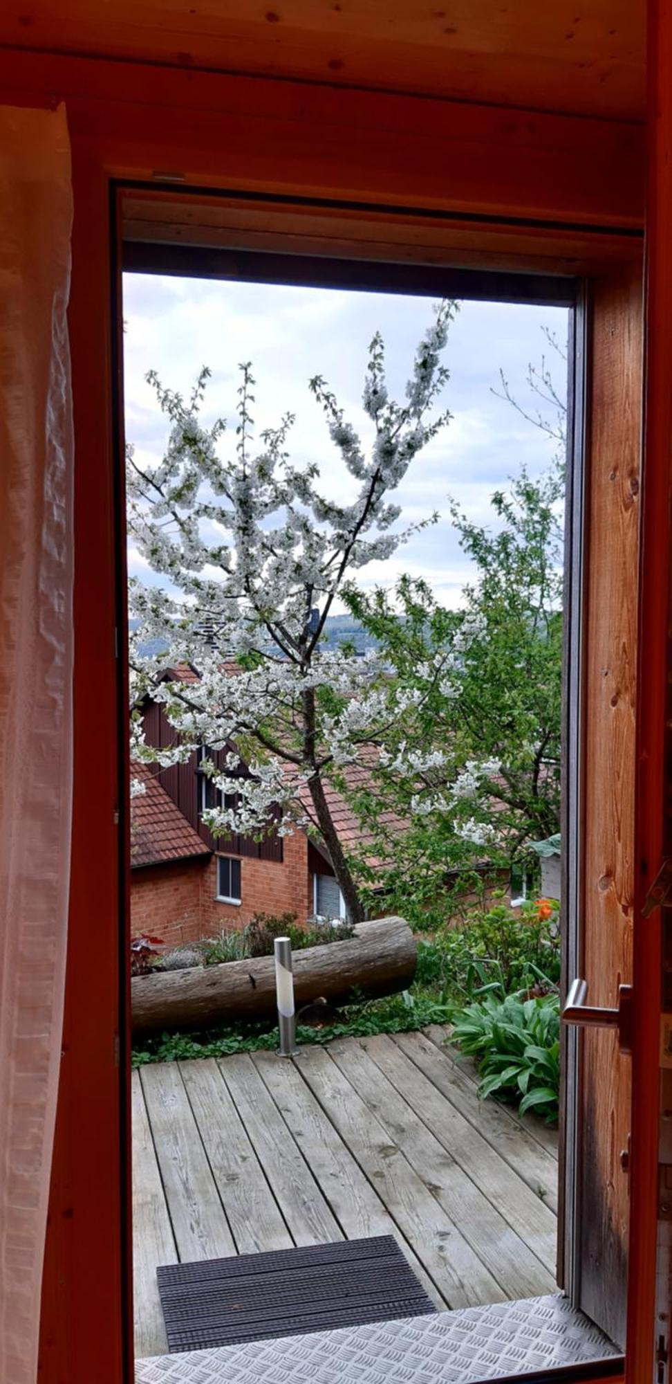 B&B Sunnesite Pratteln Zewnętrze zdjęcie