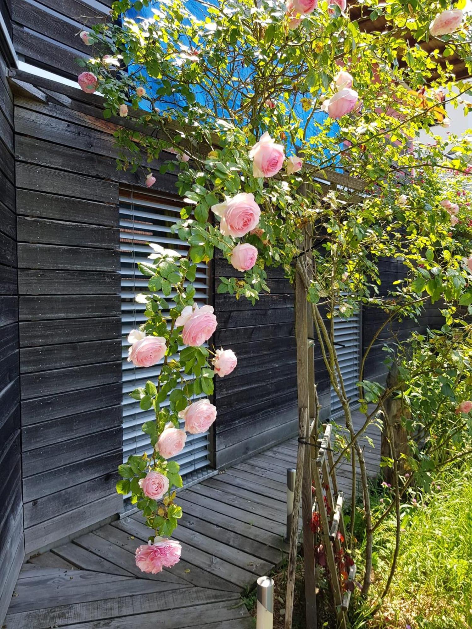 B&B Sunnesite Pratteln Zewnętrze zdjęcie